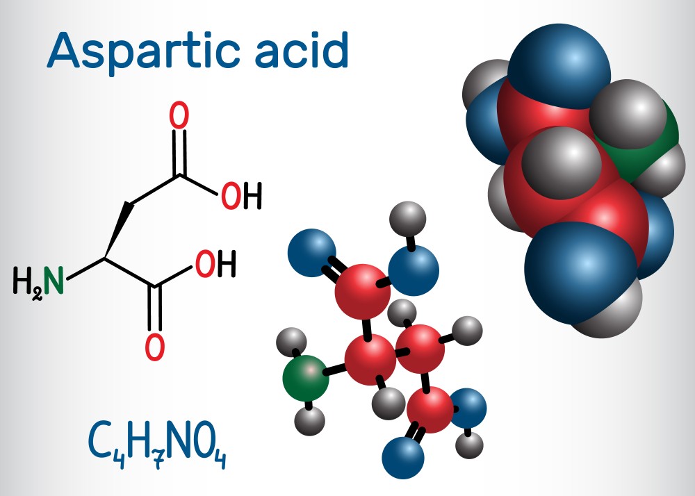 D-Aspartic Acid