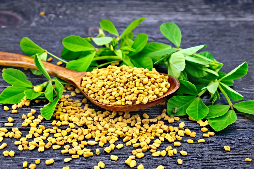 Fenugreek seeds