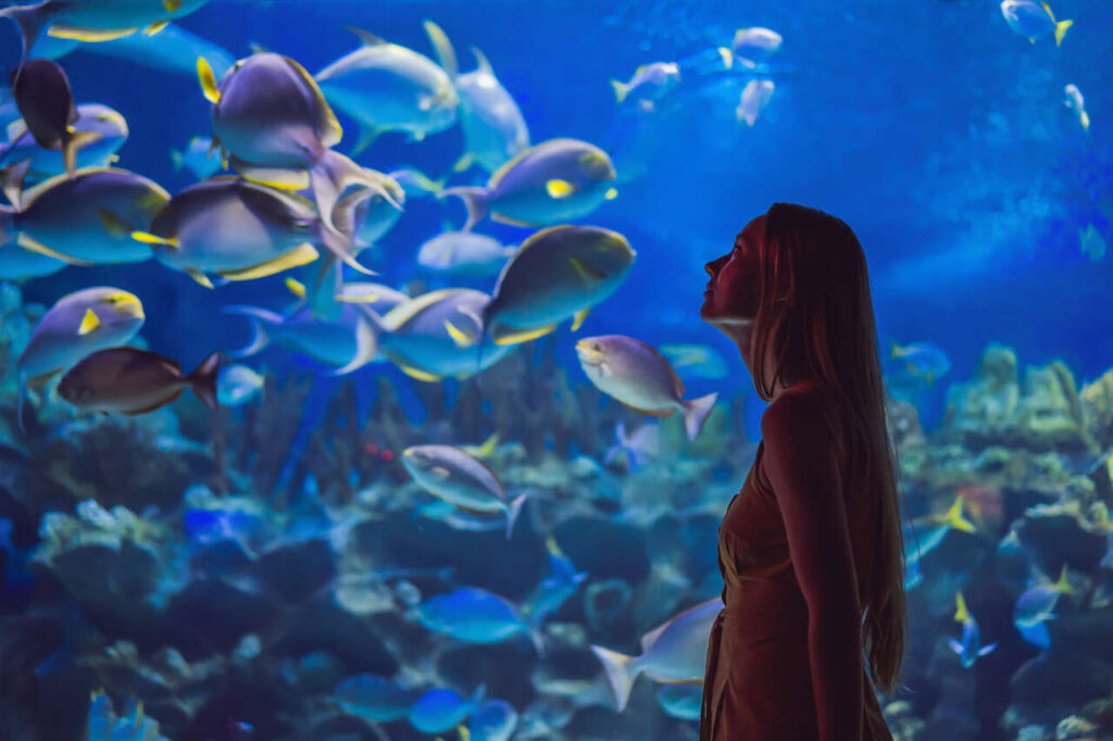 Woman, looking at the Monterey Bay Aquarium